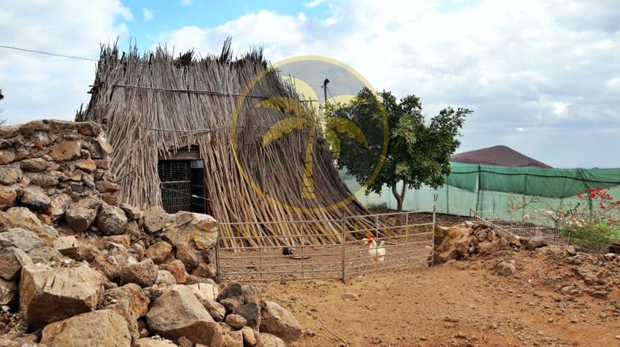 5 bed finca for sale in San Isidro