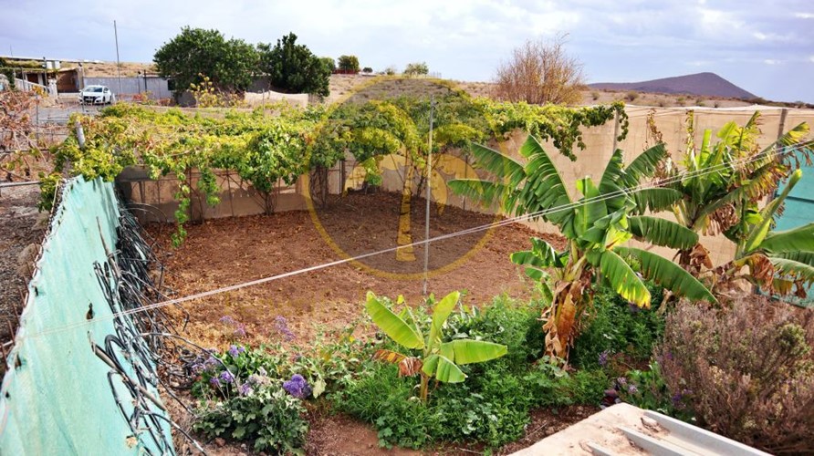 5 bed finca for sale in San Isidro