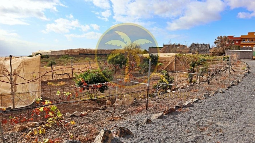 5 bed finca for sale in San Isidro