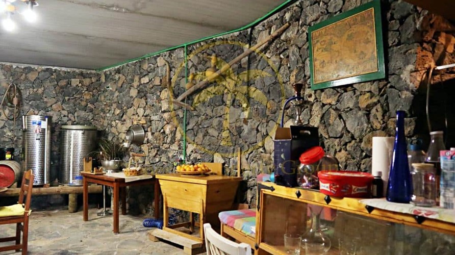 5 bed finca for sale in San Isidro