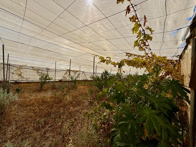 3 bed townhouse for sale in Granadilla