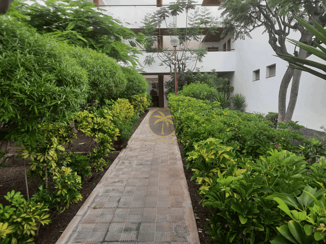 3 bed apartment for sale in El Cho