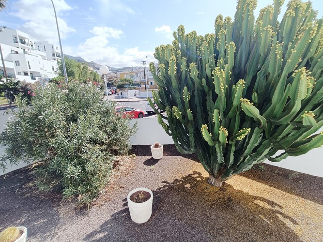 2 bed linked house for sale in Tegueste, Torviscas Bajo