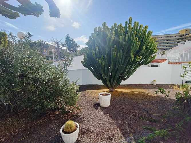 2 bed linked house for sale in Tegueste, Torviscas Bajo