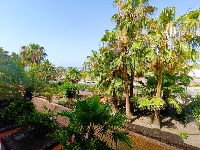 1 bed apartment for sale in Pinehurst, Amarilla Golf