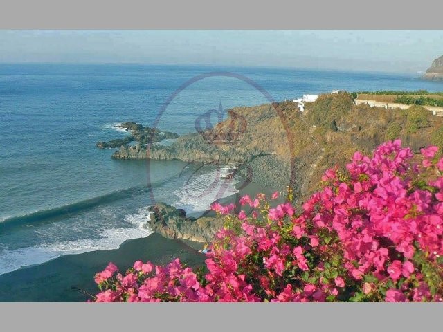 Los Cristianos 5 Bed Villa For Sale