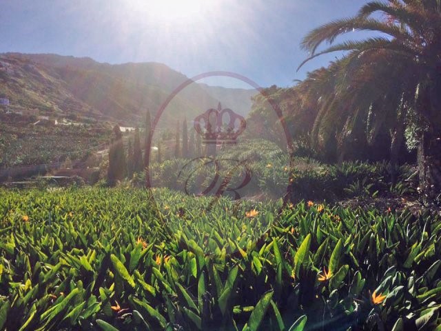 Los Cristianos 5 Bed Villa For Sale