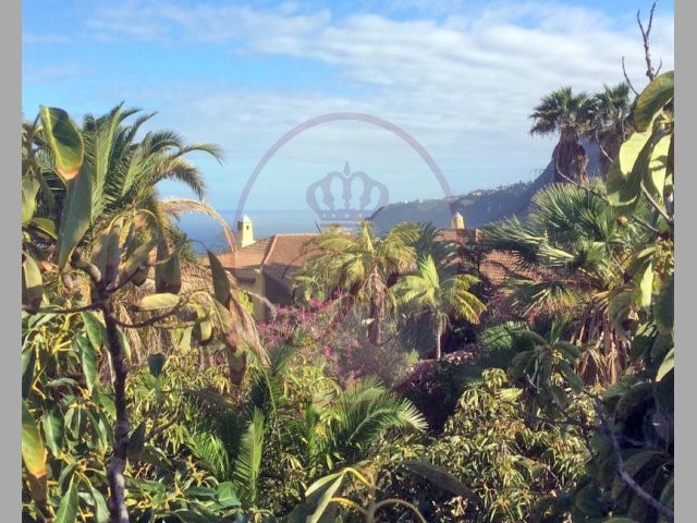 Los Cristianos 5 Bed Villa For Sale