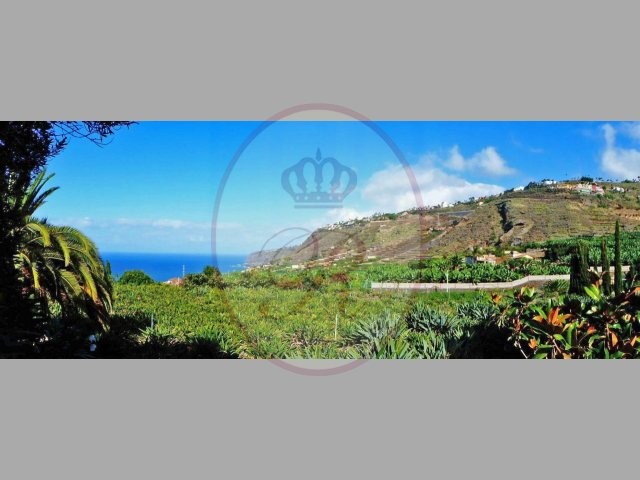 Los Cristianos 5 Bed Villa For Sale