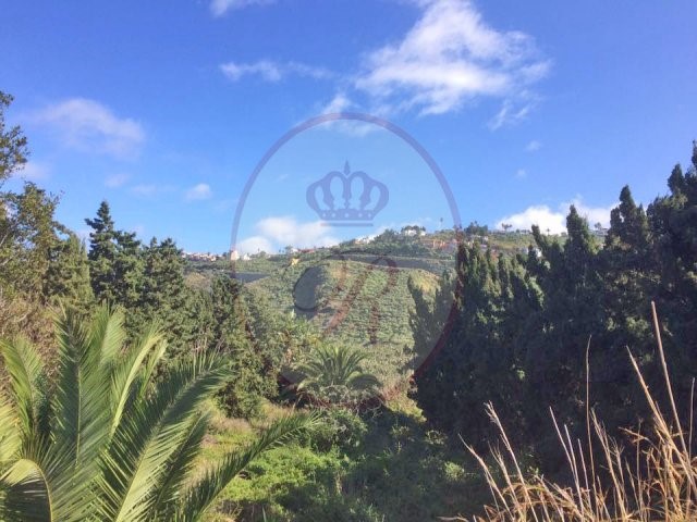 Los Cristianos 5 Bed Villa For Sale