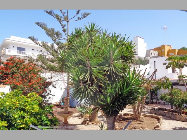  4 bed rustic house for sale in Marazul