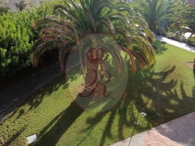 1 bed apartment for sale in Las Terrazas de Sotavento, Sotavento