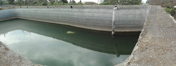 1 bed finca for sale in Vilaflor