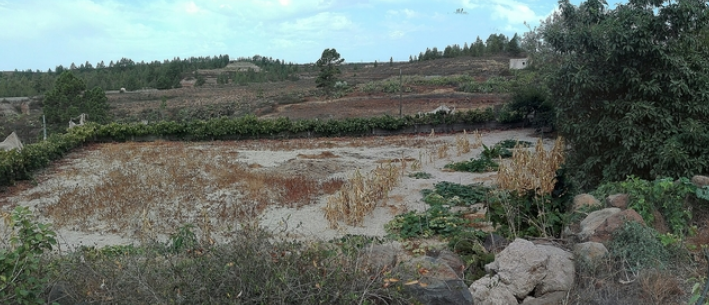 1 bed finca for sale in Vilaflor