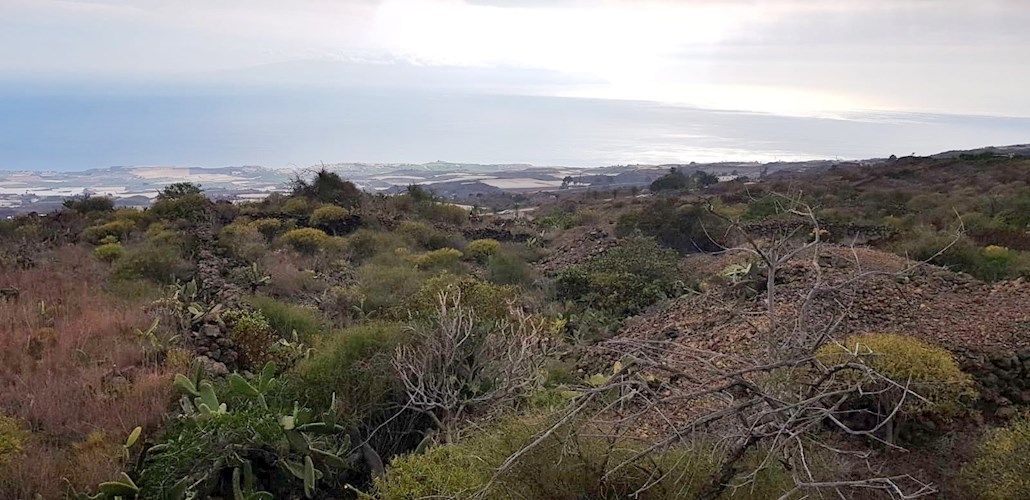 Rustic Plot for sale in Chirche