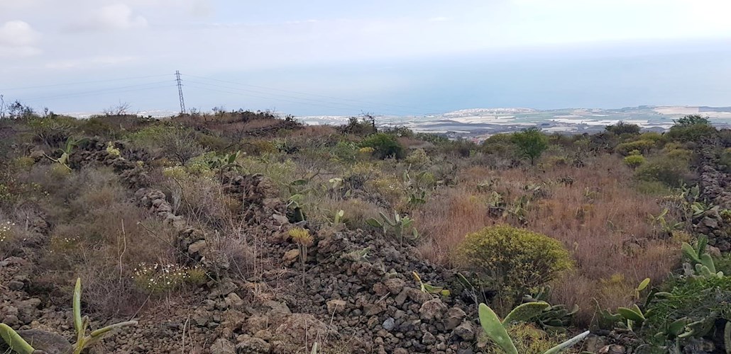 Rustic Plot for sale in Chirche