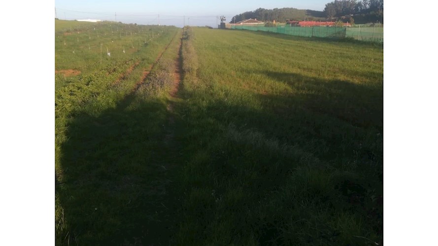Building Plot for sale in La Laguna