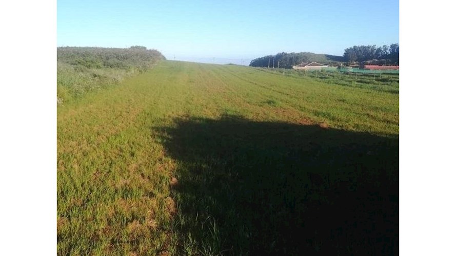 Building Plot for sale in La Laguna