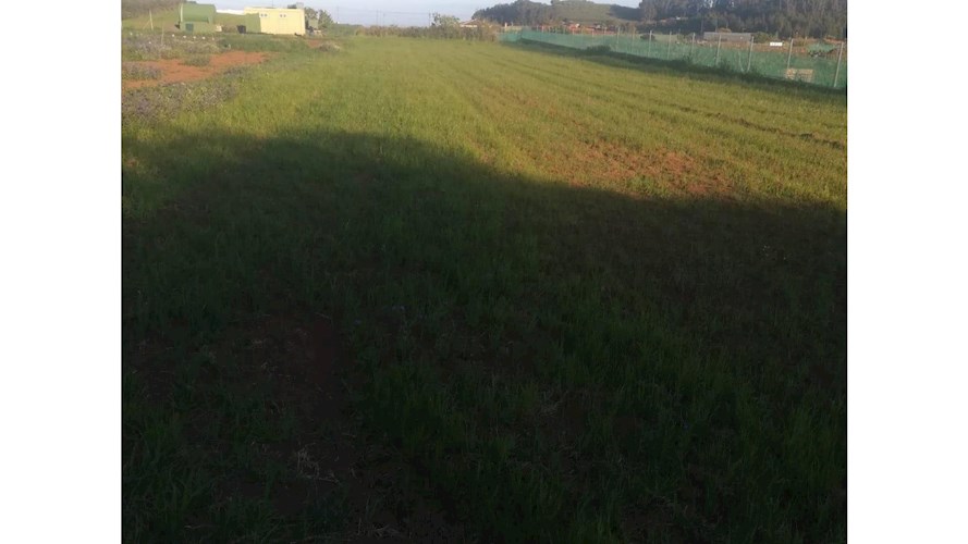 Building Plot for sale in La Laguna