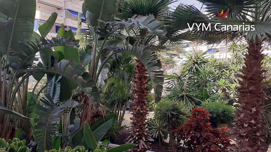 2 bed apartment for sale in Los Cristianos