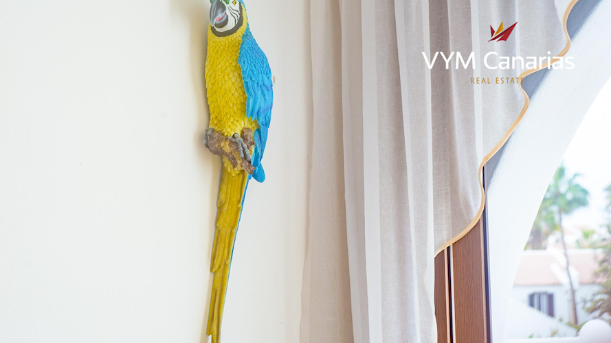 1 bed apartment for sale in Las Americas